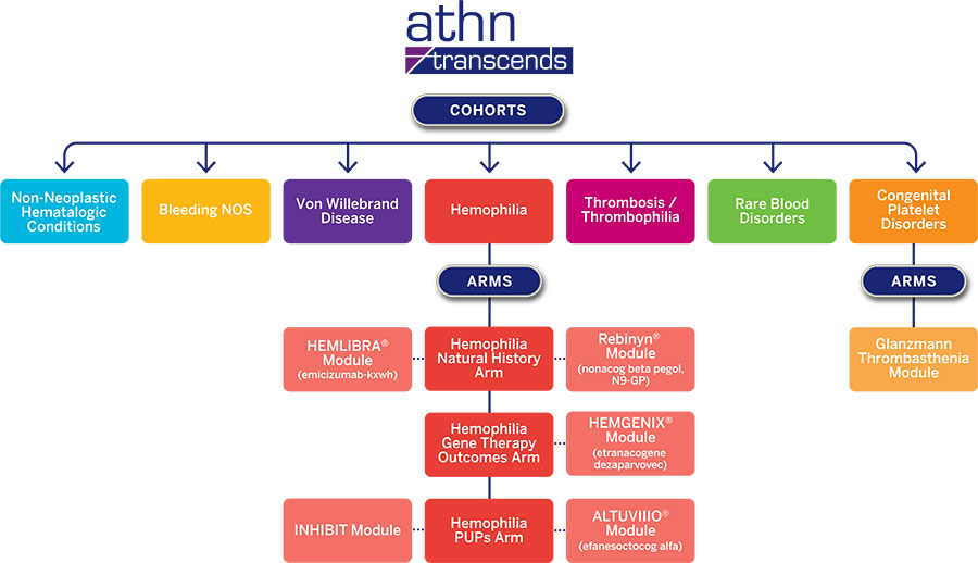 ATHN Transcends Diagram